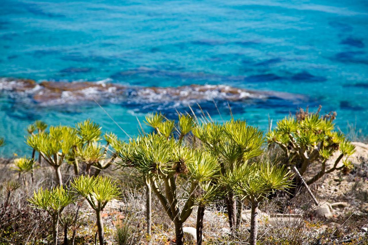 Calanuza Vila El Campello Exterior foto